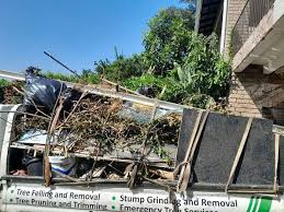 Professional Junk Removal in Mansfield, LA